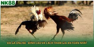 Đá Gà Online - Đỉnh Cao Và Cách Tham Gia An Toàn Nhất